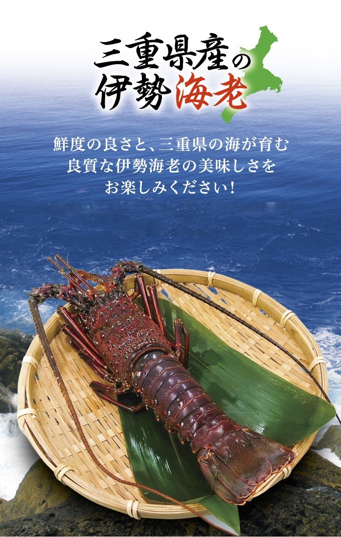 伊勢海老